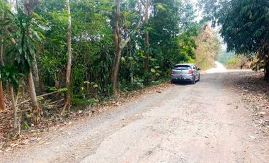 Tanah Cocok Untuk Perumahan, Jalan Lebar