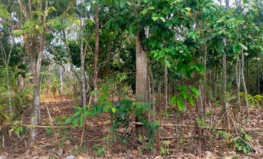 Tanah Cocok Untuk Perumahan, Jalan Lebar