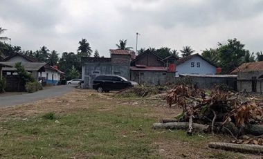 Dekat Kampus UAD Wates, Tanah Murah Timur Bandara YIA Kulonprogo, SHM