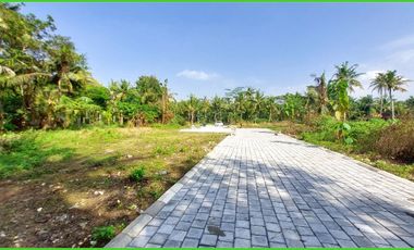 Tanah Investasi Kulon Progo Dekat Bandara YIA 900 Ribuan