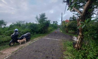 Dijual Tanah Kosong 50 Are View Laut Melasti Lokasi Tenang dan Sepi