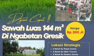 Dijual Cepat Sawah Luas 144 m² SHM di Gresik Jawa Timur