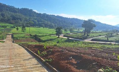 Tanah Murah Dkat Jakarta Depok Bekasi Cibinong Cileungsi Ada Eduwisata