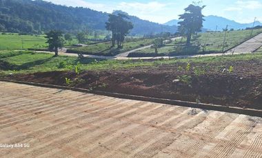 Tanah Murah Dkat Jakarta Depok Bekasi Cibinong Cileungsi Ada Eduwisata