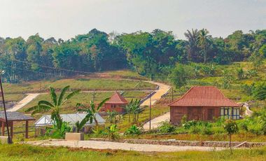 Tanah Murah Dkat Jakarta Depok Bekasi Cibinong Cileungsi Ada Eduwisata