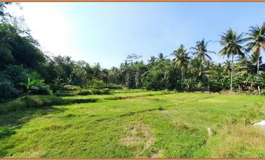80 Jutaan, Tanah Murah dekat Exit Tol Sentolo - Jogja