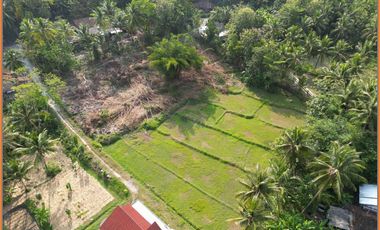 80 Jutaan, Tanah Murah dekat Exit Tol Sentolo - Jogja