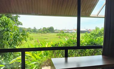 Rumah Style villa 4BR - 490SQM - 9,1 Milliar/Nego di Renon