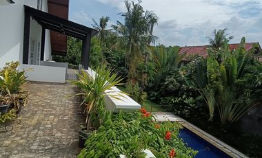 Disewakan Rumah American Style, Kolam Renang dan Asri di Kemang