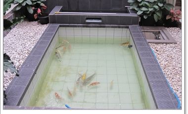 Rumah Condongcatur Dekat Pakuwon Mall, Gejayan, UGM, UNY Jogja