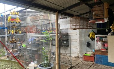 Jual rumah murah hitung tanah di pinus regency soetta