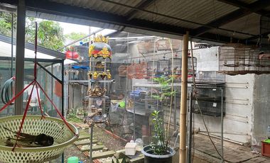 Jual rumah murah hitung tanah di pinus regency soetta