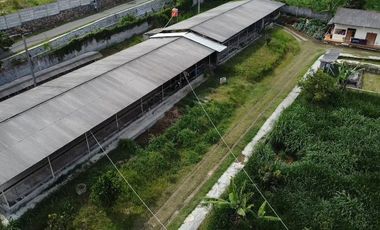 Villa Cocok untuk Peternakan, Perkebunan, dan Perikanan di Lembang