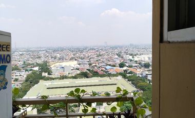 apt green palm rapi dan bersih