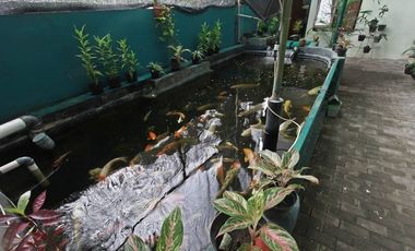 Family Hotel dekat dengan bandara Adi Sucipto