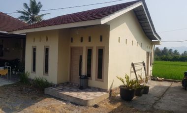 Dijual 2 rumah satu lokasi, view sawah dan gunung. Daerah Mungkid