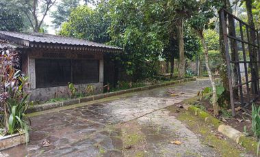 Villa + Kebun Durian dan Manggis Pinggir Jalan Raya Wanayasa Purwakart