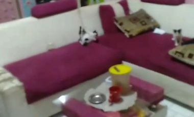 Rumah tinggal kampung karang nunggal gadog pacet cianjur