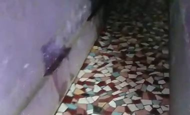 Rumah tinggal kampung karang nunggal gadog pacet cianjur