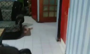 Rumah tinggal kampung karang nunggal gadog pacet cianjur