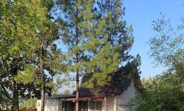 Jual Villa Bagus Di Garut Tarogong dekat Cipanas