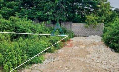 DIJUAL TANAH 30 ARE DI UNGASAN BADUNG, BALI.