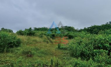 DIJUAL TANAH 30 ARE DI UNGASAN BADUNG, BALI.