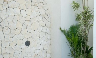 For Sale: 2BR Modern Villa with Rice Field Views in Kaba-Kaba