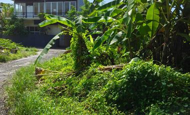 FOR SALE TANAH MURAH LOKASI STARTEGIS AREA SANUR BALI