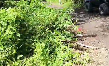 FOR SALE TANAH MURAH LOKASI STARTEGIS AREA SANUR BALI