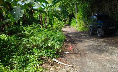 FOR SALE TANAH MURAH LOKASI STARTEGIS AREA SANUR BALI