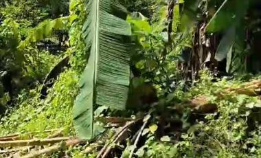 FOR SALE TANAH MURAH LOKASI STARTEGIS AREA SANUR BALI