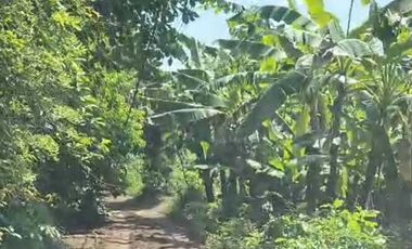 FOR SALE TANAH MURAH LOKASI STARTEGIS AREA SANUR BALI