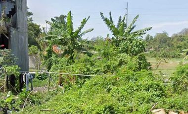 FOR SALE TANAH MURAH LOKASI STARTEGIS AREA SANUR BALI