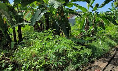 FOR SALE TANAH MURAH LOKASI STARTEGIS AREA SANUR BALI