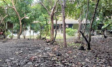 Dijual Tanah Bonus Bangunan di Umbulharjo Jogja, Cocok Untuk Investasi