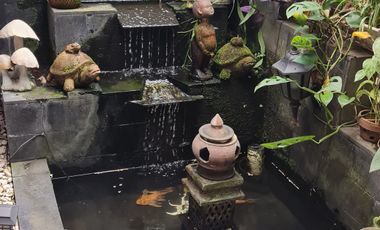 Jual Rumah  di Taman Yasmin Bogor, Jl Cemara Raya