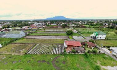Tanah Kavling di Lingkungan Homestay, Kavling Jl. Damai