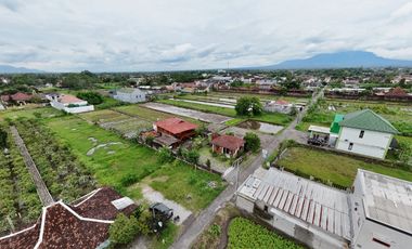 Tanah Kavling di Lingkungan Homestay, Kavling Jl. Damai
