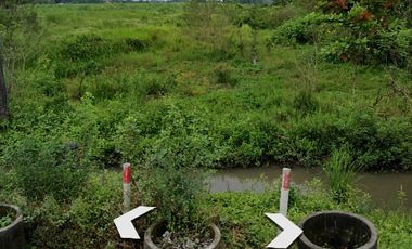 1849. Dijual Tanah Raya Modongan Trowulan