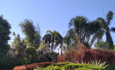 Jual Nego Apartemen Margonda Residence 4 Dmall Depok