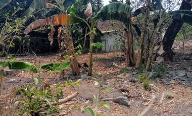 JUAL TANAH SHM LOKASI DI PUSAT KERAMAIAN KOTA JOGJA