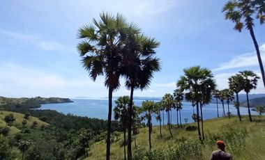 TANAH 3 HA DI TELUK WAECICU TIMUR LABUAN BAJO