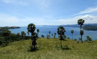 TANAH 3 HA DI TELUK WAECICU TIMUR LABUAN BAJO
