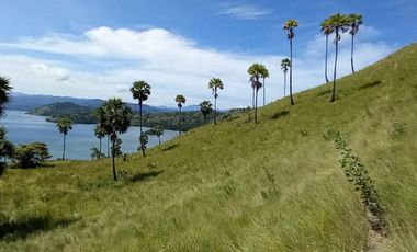 TANAH 3 HA DI TELUK WAECICU TIMUR LABUAN BAJO