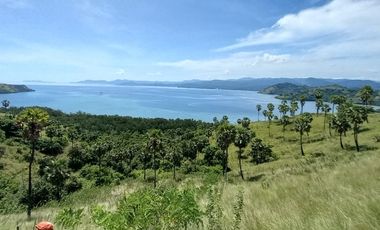 TANAH 3 HA DI TELUK WAECICU TIMUR LABUAN BAJO