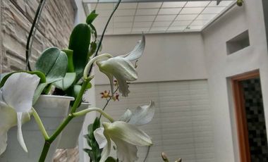 Rumah Kontrakan Kota Malang