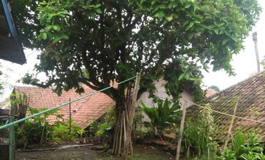 rumah murah di Desa Tambak Mekar  Kec. Jalancagak Kab. Subang 300 juta