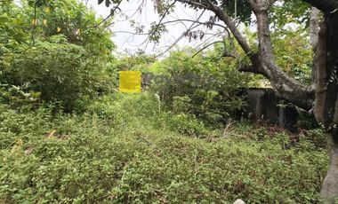 Dijual Rumah di Palembang