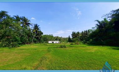 800rb/m Tanah Murah Jogja, Area Wisata Nanggulan